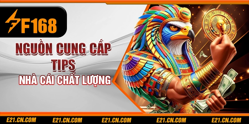 Nguồn cung cấp tips nhà cái chất lượng
